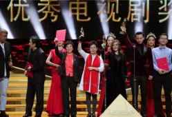 电视剧奖项,盘点年度电视剧奖项盛宴