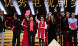 电视剧奖项,盘点年度电视剧奖项盛宴