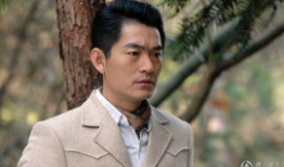 郎本无情电视剧,爱恨交织的复仇传奇