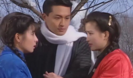 人面桃花电视剧,爱恨交织的乱世情缘