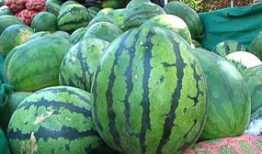 国产吃瓜爆料怎么出来的,幕后真相与传播机制深度解析