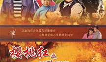樱桃红之袖珍妈妈电视剧全集,温馨家庭情感之旅