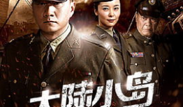 电视剧大陆,烽火岁月里的英雄传奇