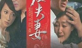 结发夫妻电视剧,携手共度风雨，谱写爱情传奇