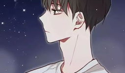 动漫男男漫画,男男漫画的青春旋律