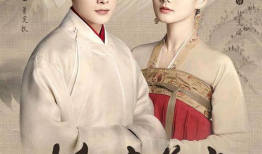 鹤唳华亭电视剧,宫廷权谋与家国情怀的交织传奇