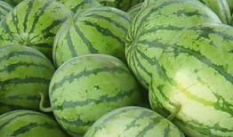 怎么找吃瓜爆料的人群,如何精准锁定吃瓜爆料达人