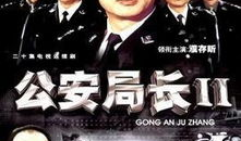 电视剧公安局长2,智破迷局，守护正义