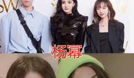 明星与网红同,跨界融合，共创娱乐新生态