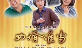 女婿电视剧,揭秘现代家庭关系与爱情纠葛