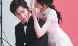 张翰郑爽最新电视剧,张翰郑爽再续前缘，演绎现代都市爱情传奇