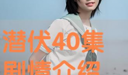 潜伏电视剧全集40集免费,揭秘谍战风云，揭秘潜伏者传奇人生