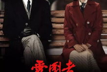 电视剧爱国者演员表,实力派明星齐聚，演绎烽火岁月传奇