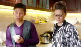 女婿电视剧,揭秘现代家庭关系与爱情纠葛