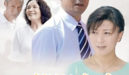 电视剧不能没有家,探寻家的温暖与力量