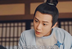 小微是什么电视剧,探寻民间传奇的温暖之光