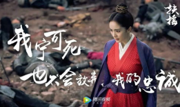 扶摇 电视剧,逆天改命，爱恨交织的传奇之旅