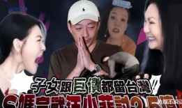 国产精品a剧情演绎,情感纠葛与时代变迁的交织