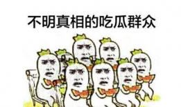 51今日吃瓜群众爆料台,揭秘娱乐圈最新热点事件