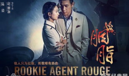 电视剧 胭脂,乱世佳人，烽火中的红颜传奇