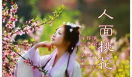 人面桃花电视剧,爱恨交织的乱世情缘