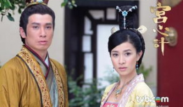 宫心计电视剧,宫廷权谋与爱恨情仇的纠葛