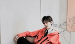 毕雯珺电视剧,青春梦想与成长之旅