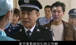 电视剧公安局长2,智破迷局，守护正义