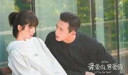 亲爱的电视剧全集在线观看,感人至深的家庭情感之旅