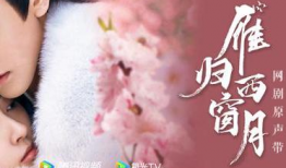 月亮电视剧,穿越时空的浪漫传奇